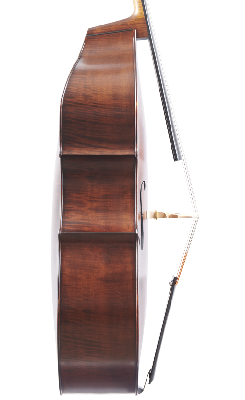 Fuber Double Bass left side