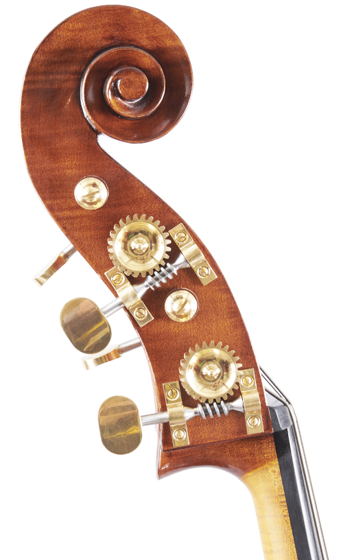 Fuber Double Bass right side