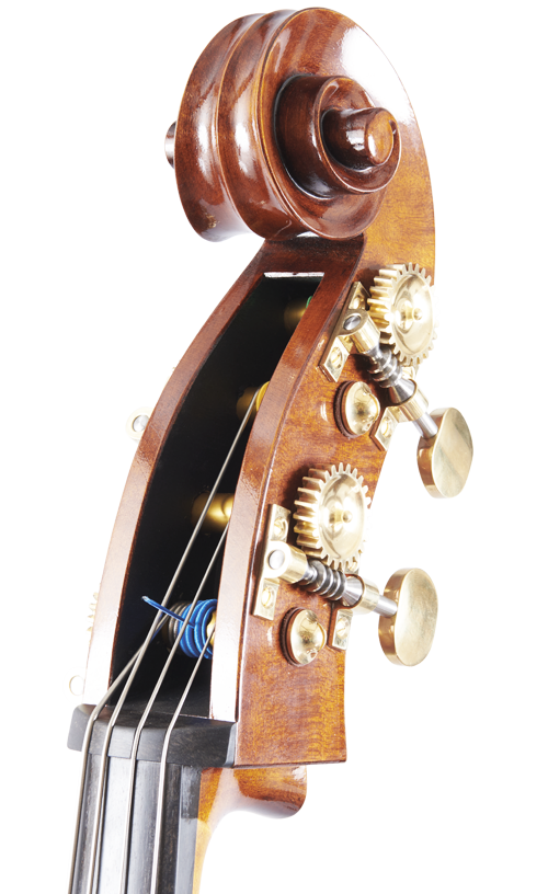 Fuber Double Bass right side