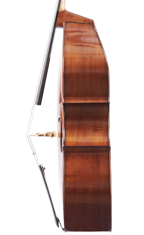 Fuber Double Bass right side