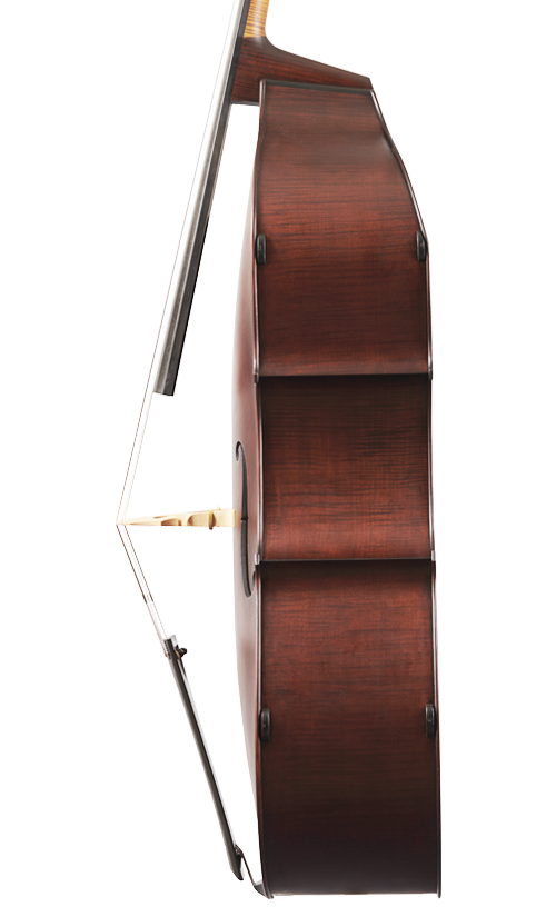 Fuber Double Bass right side
