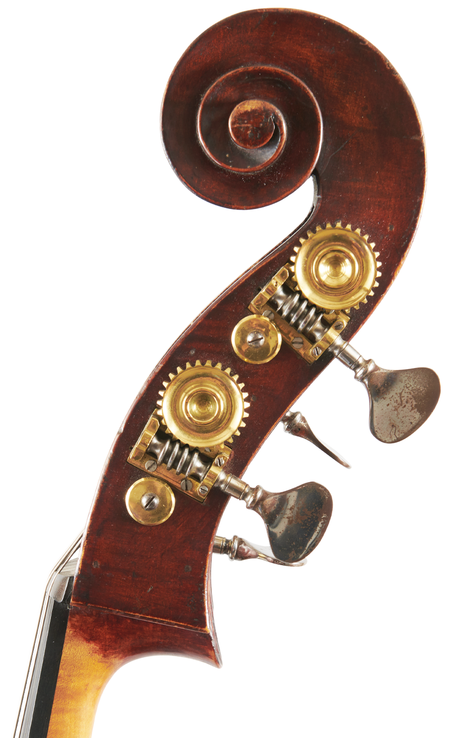 Fuber Double Bass right scroll