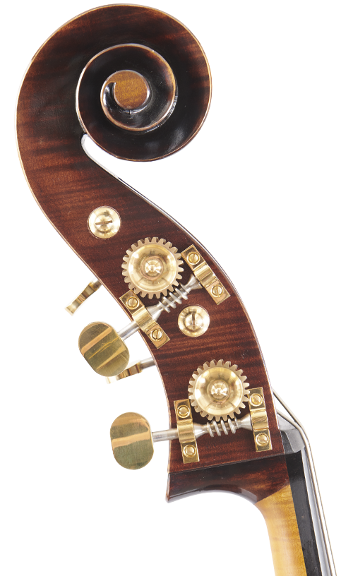 Fuber Double Bass right side