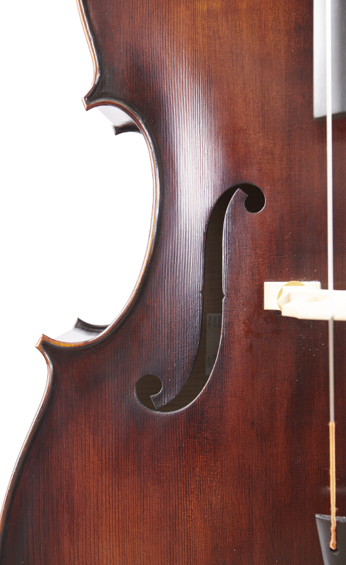 Fuber Double Bass right side