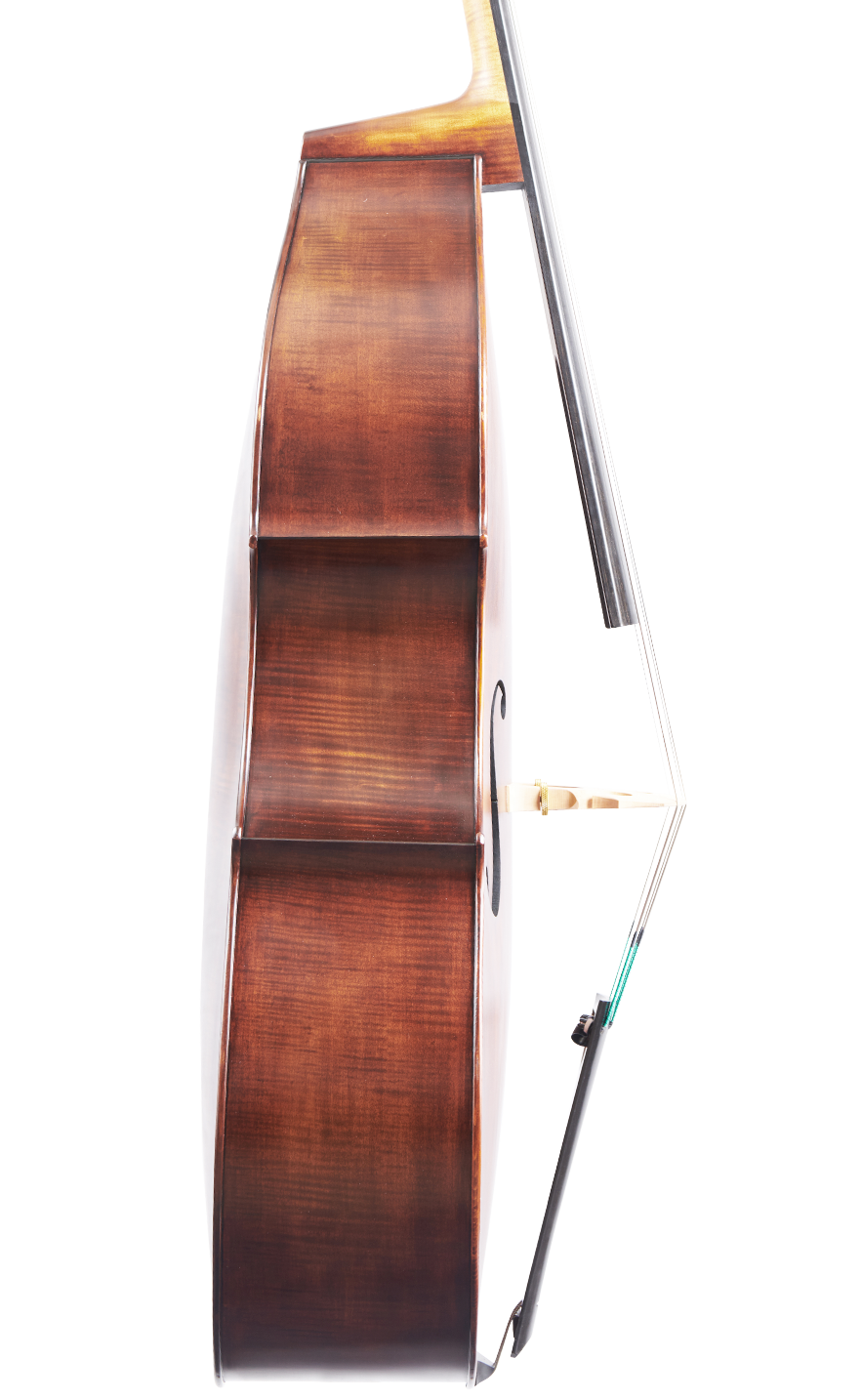 Fuber Double Bass left side