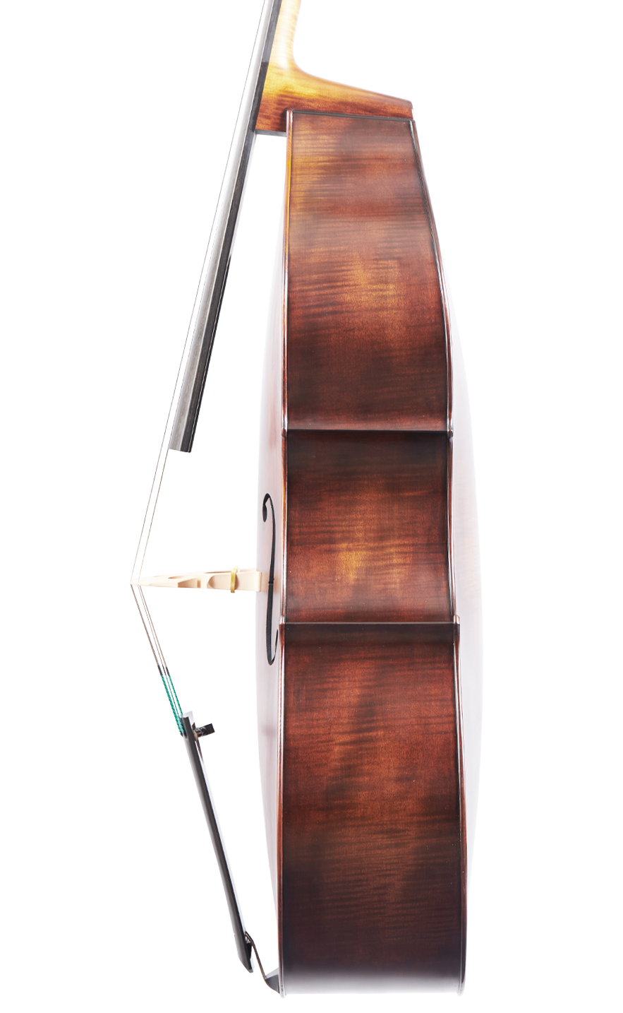 Martin 3/4 Double Bass Right Side