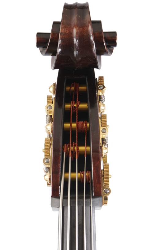 Fuber Double Bass right side