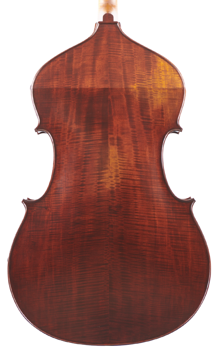 Martin 3/4 Back