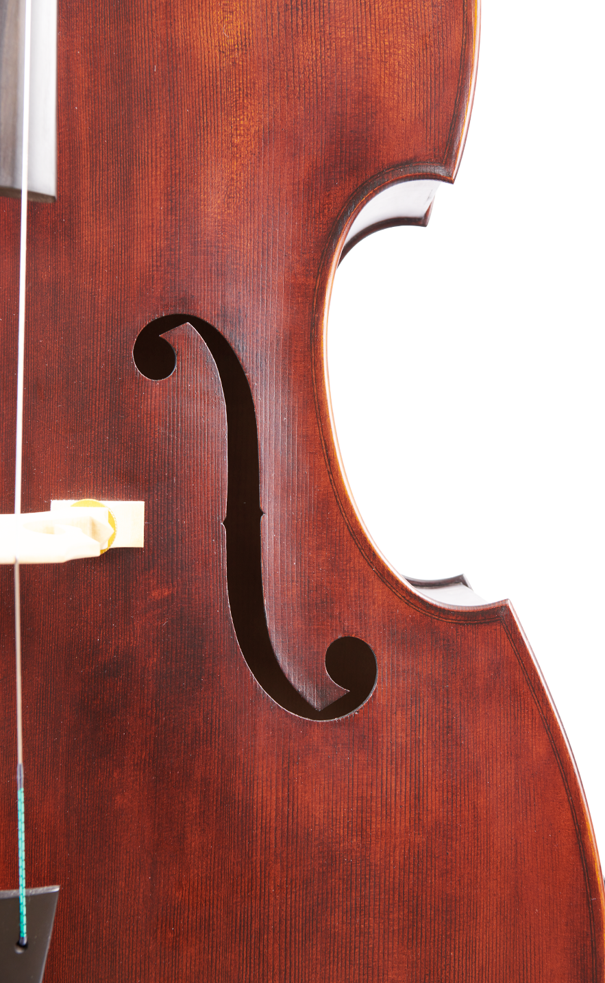 Fuber Double Bass right side