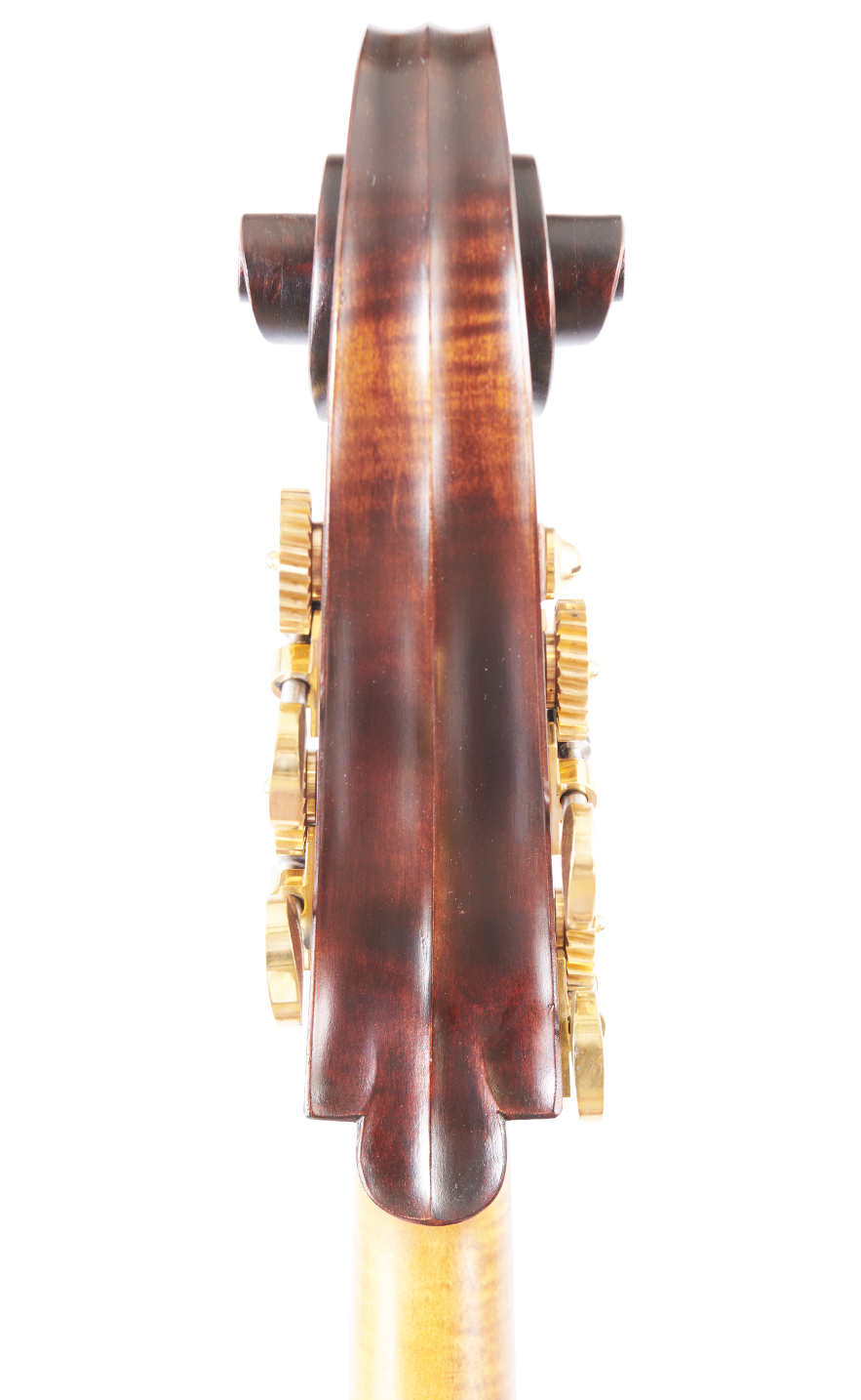 Fuber Double Bass right side