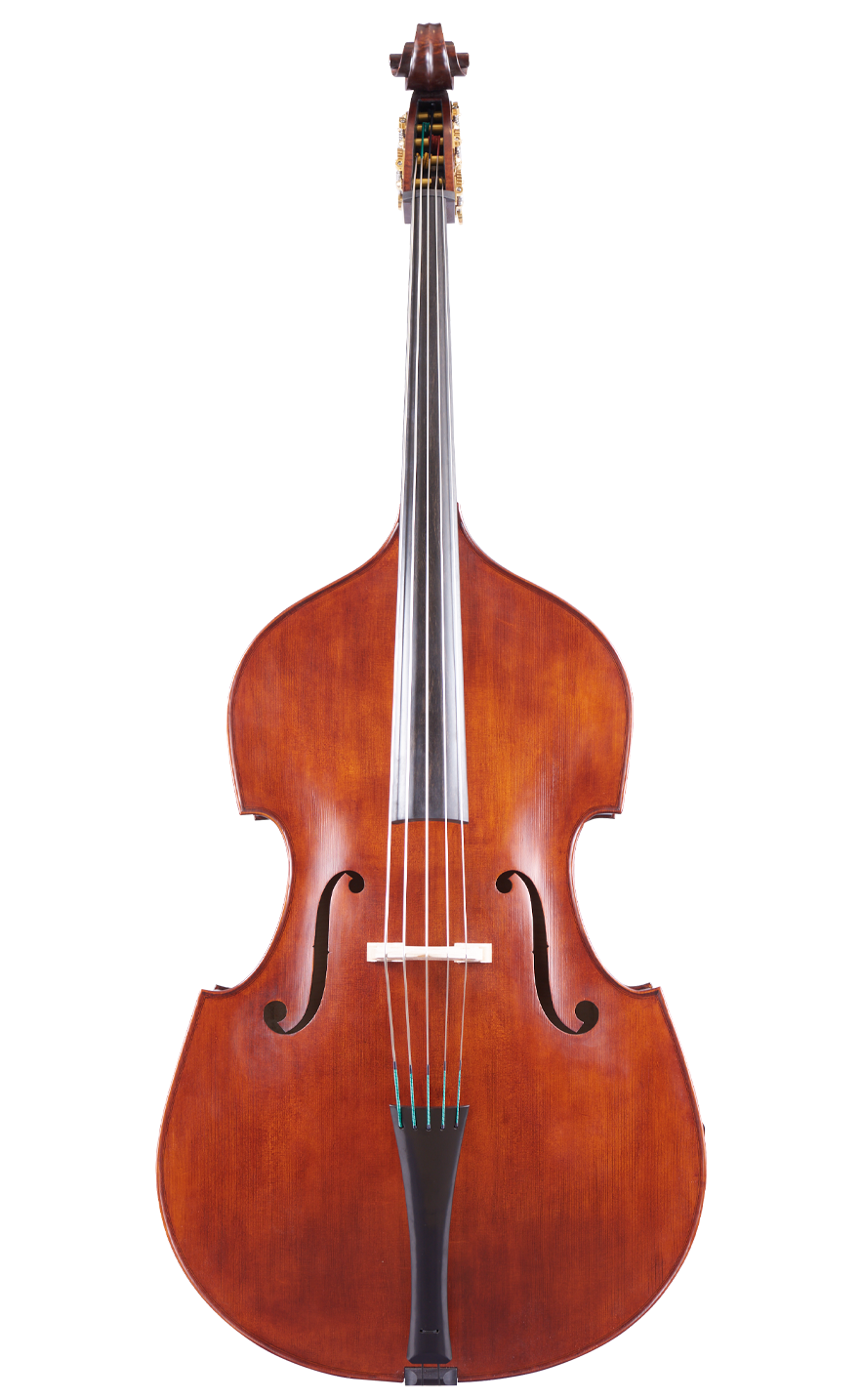 Martin Ruggeri Viol Full Front