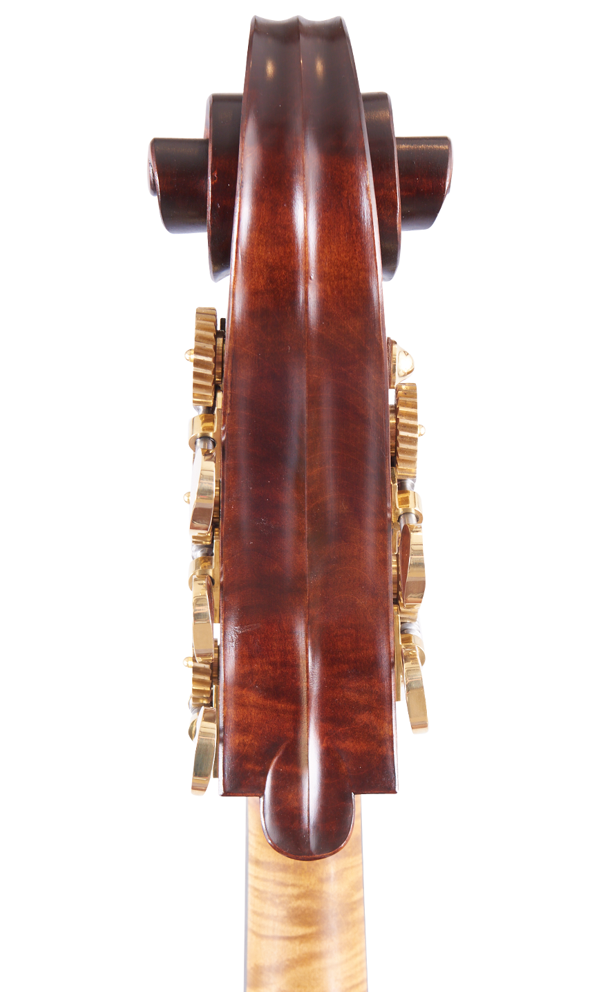 Martin Ruggeri Viol Scroll Back