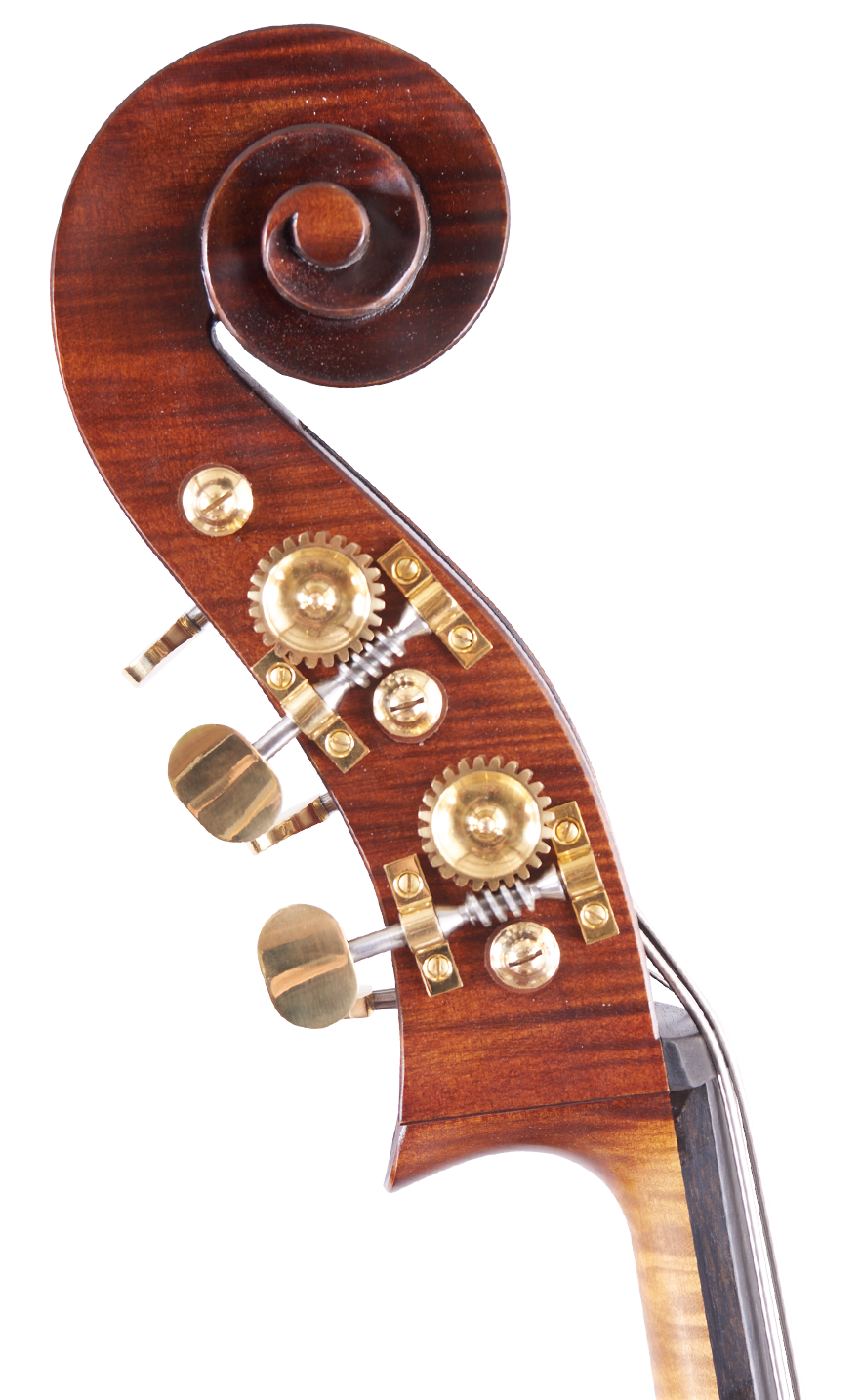 Martin Ruggeri Viol Scroll Left Side