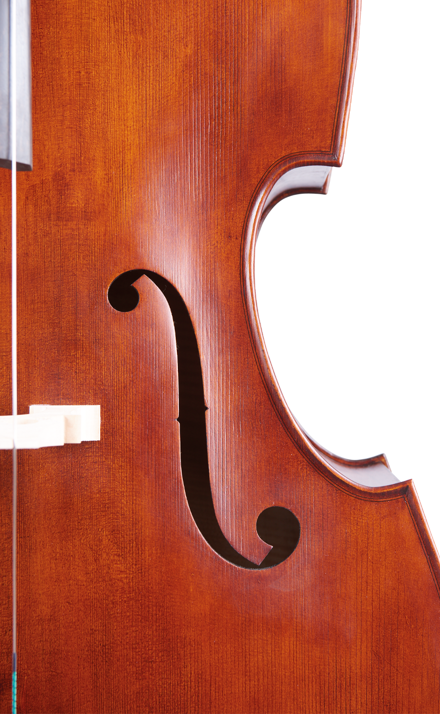 Martin Ruggeri Viol Sound Hole Right