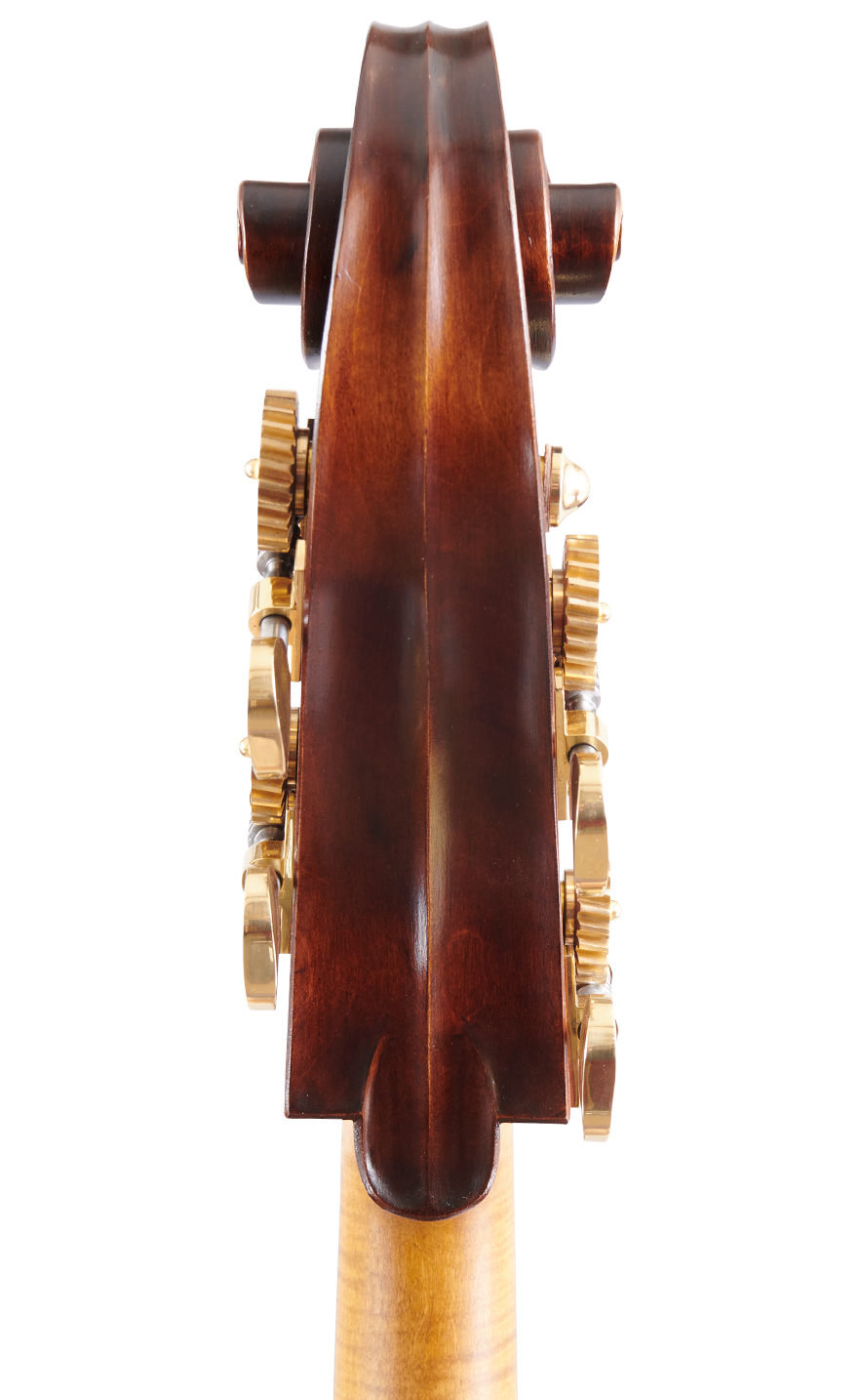 Fuber Double Bass right side