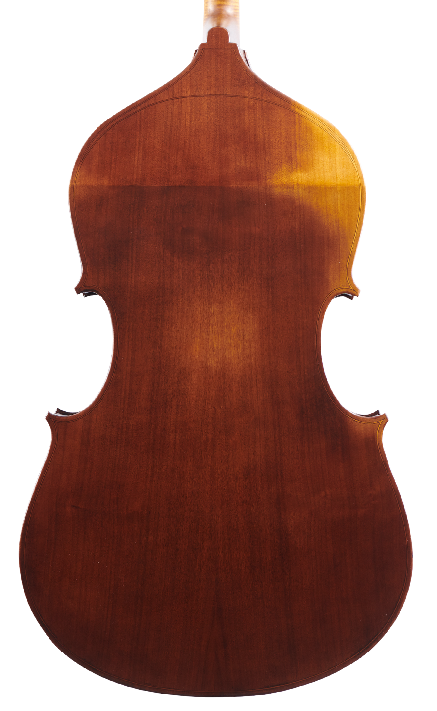 Fuber Double Bass back