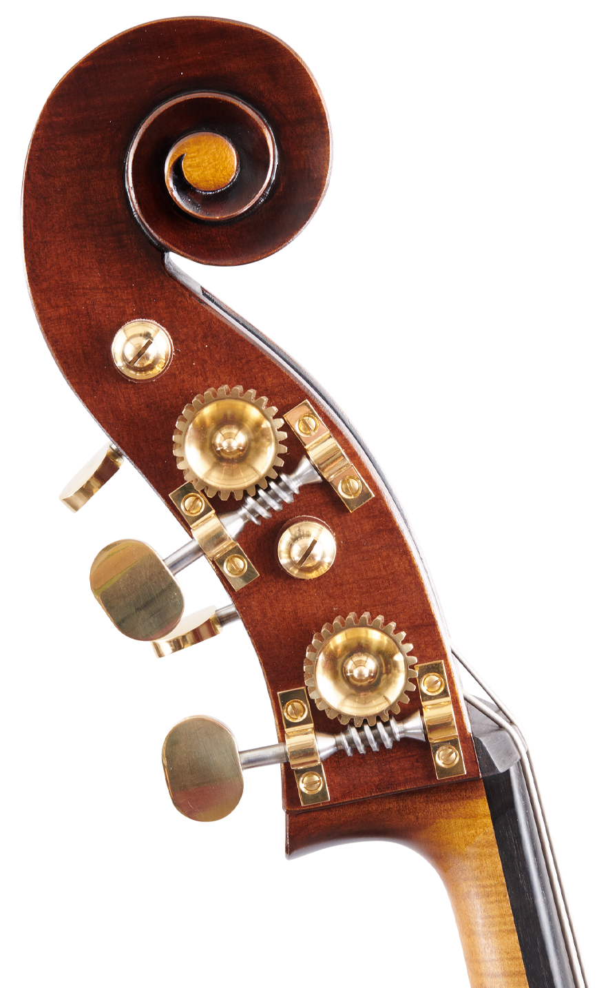 Fuber Double Bass right side