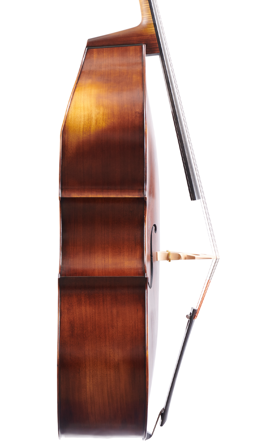 Fuber Double Bass left side