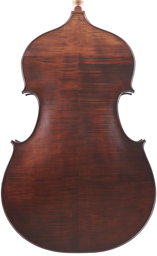 Fuber Double Bass back